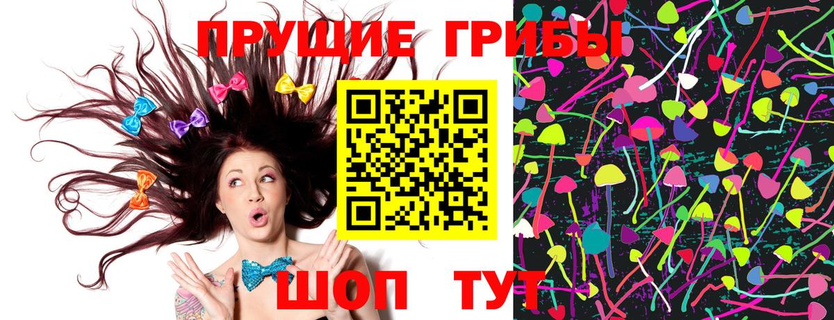 Псилоцибиновые грибы Psilocybe  Вход с VPN  Гусиноозёрск  Псилоцибиновые грибы Cubensis 