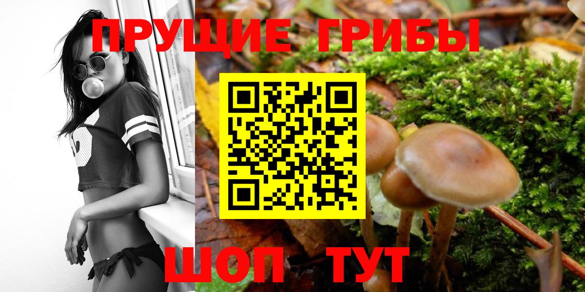 Псилоцибиновые грибы мухоморы Гусиноозёрск